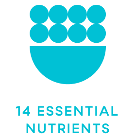 essential nutrients biia brew