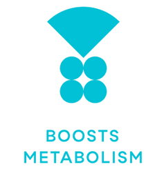 boosts metabolism biia brew